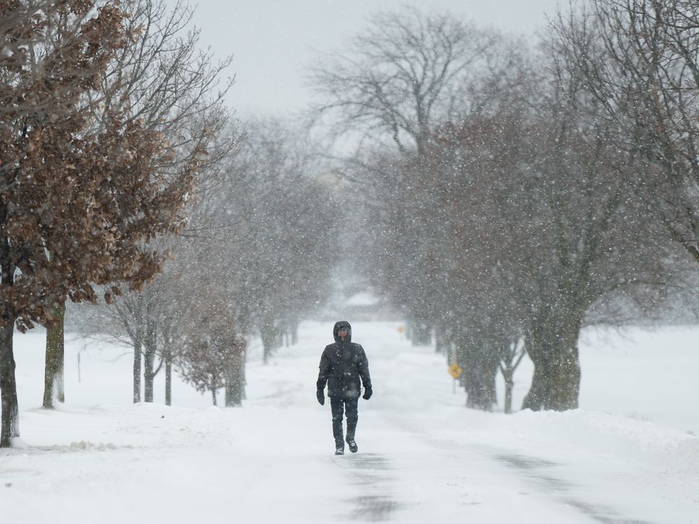 NextImg:Ontario snow storm strands vehicles, knocks out power as town calls emergency