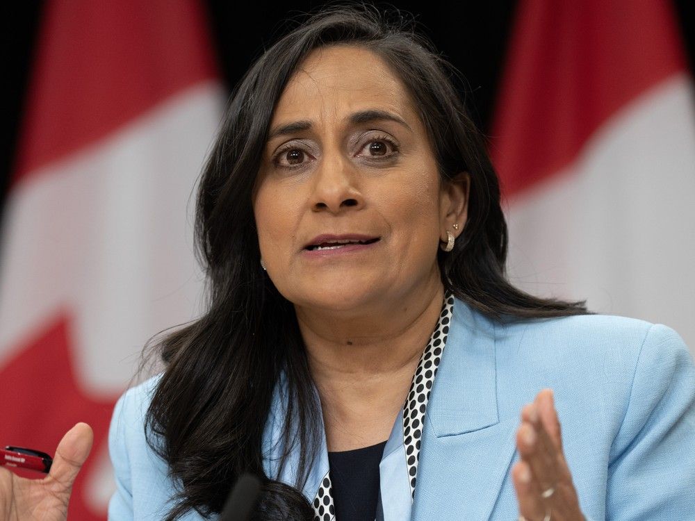 NextImg:Liberal minister Anita Anand says she will not run for party leadership or re-election