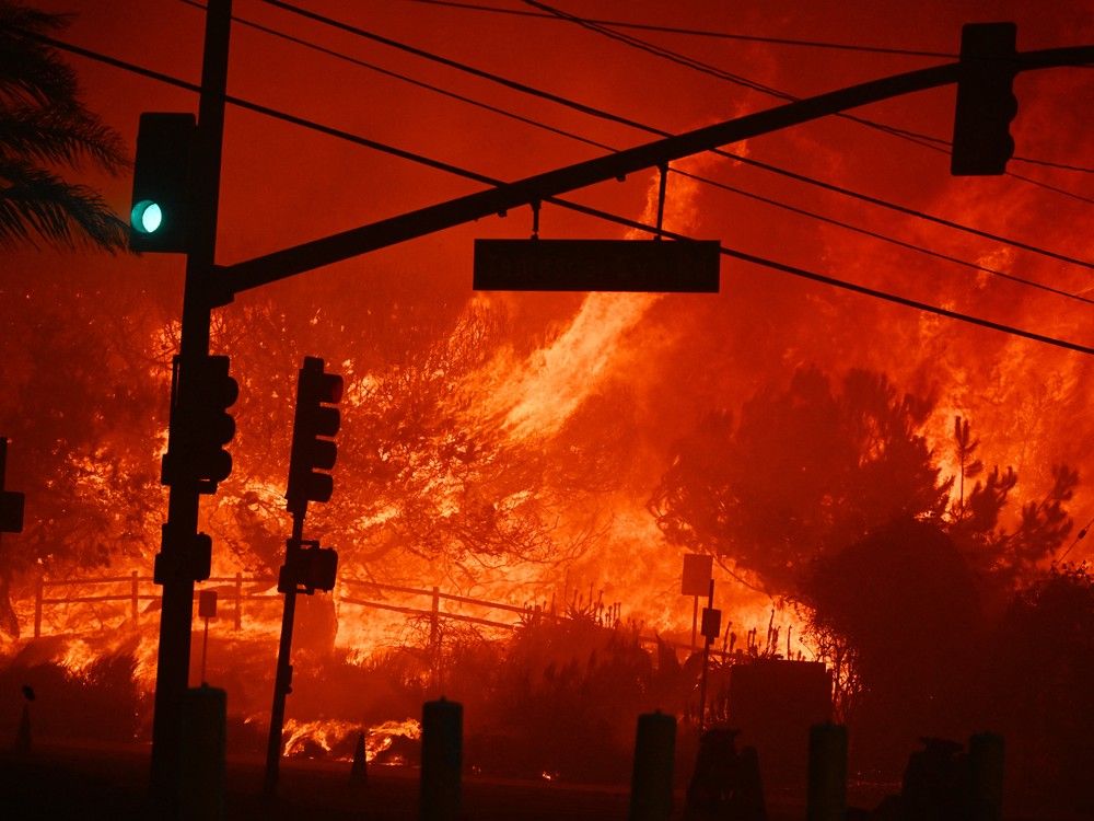 ‘Crying and screaming’: Chaos in Los Angeles neighbourhoods as thousands flee amid wildfires