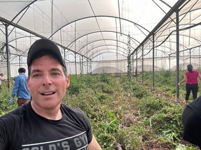 “Back-breaking”: Toronto lawyer aiding Israel by harvesting tomatoes “Back-breaking”: Toronto lawyer aiding Israel by harvesting tomatoes
