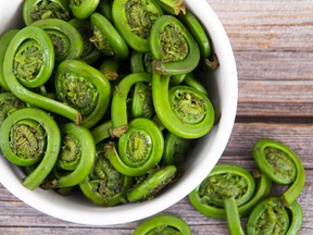 Boiled fiddleheads