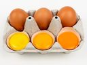 Variations in egg yolk colour are the product of a hen's diet.