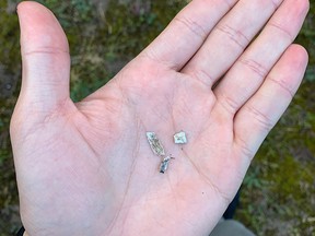 Small bone fragments held on a hand.