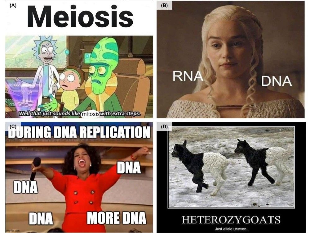 NextImg:Memes can help Gen Z students learn about and appreciate science: study