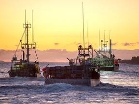 Fishing boats, loaded with traps, head from port in West Dover, N.S. on Tuesday, Nov. 26, 2019 as the lobster season on Nova Scotia's South Shore begins after a one-day weather delay.