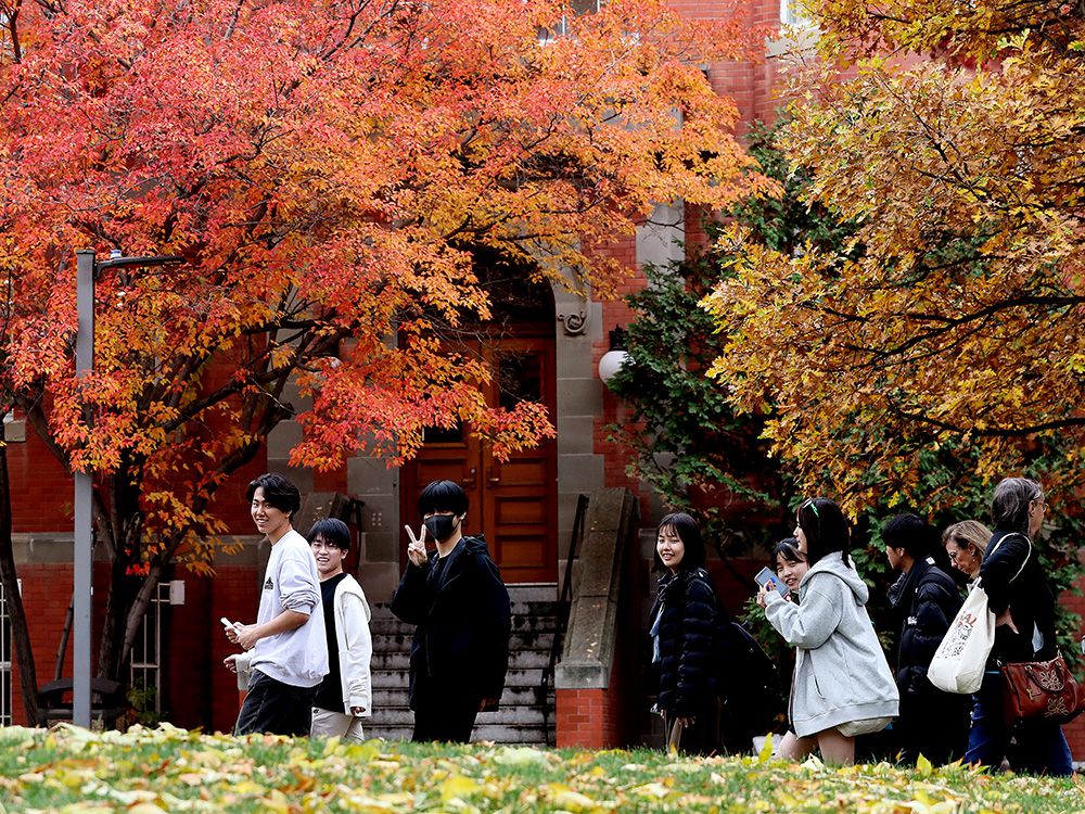 A group of students walk by fall-coloured trees