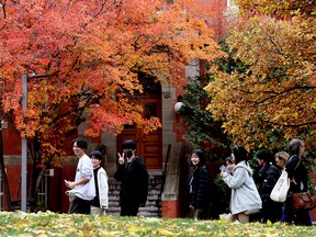 A group of students walk by fall-coloured trees