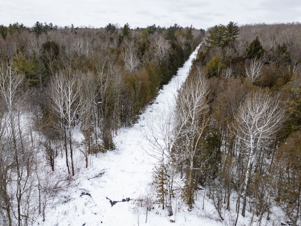 NextImg:Man found near U.S. border in 2023 died of drowning, hypothermia: Quebec coroner