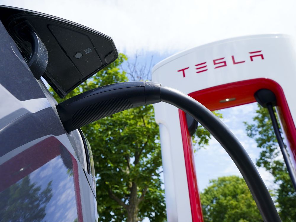 NextImg:Tesla raising price of vehicles in Canada by up to $9,000 starting Feb. 1