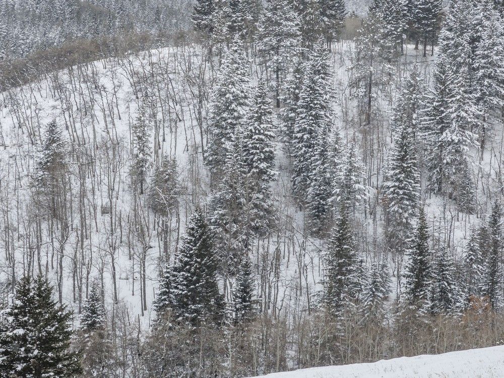 NextImg:Massive winter storm expected to hit Ontario and Quebec later today