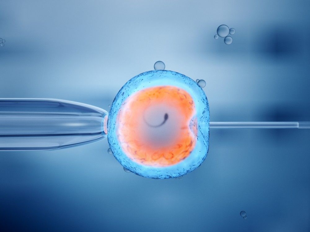 NextImg:Woman sues fertility clinic after losing custody of 5 month-old baby due to IVF mix-up