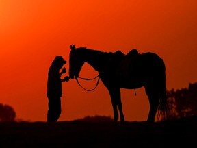 Inside the once-a-lifetime legal overhaul of the veterinary profession Inside the once-a-lifetime legal overhaul of the veterinary profession