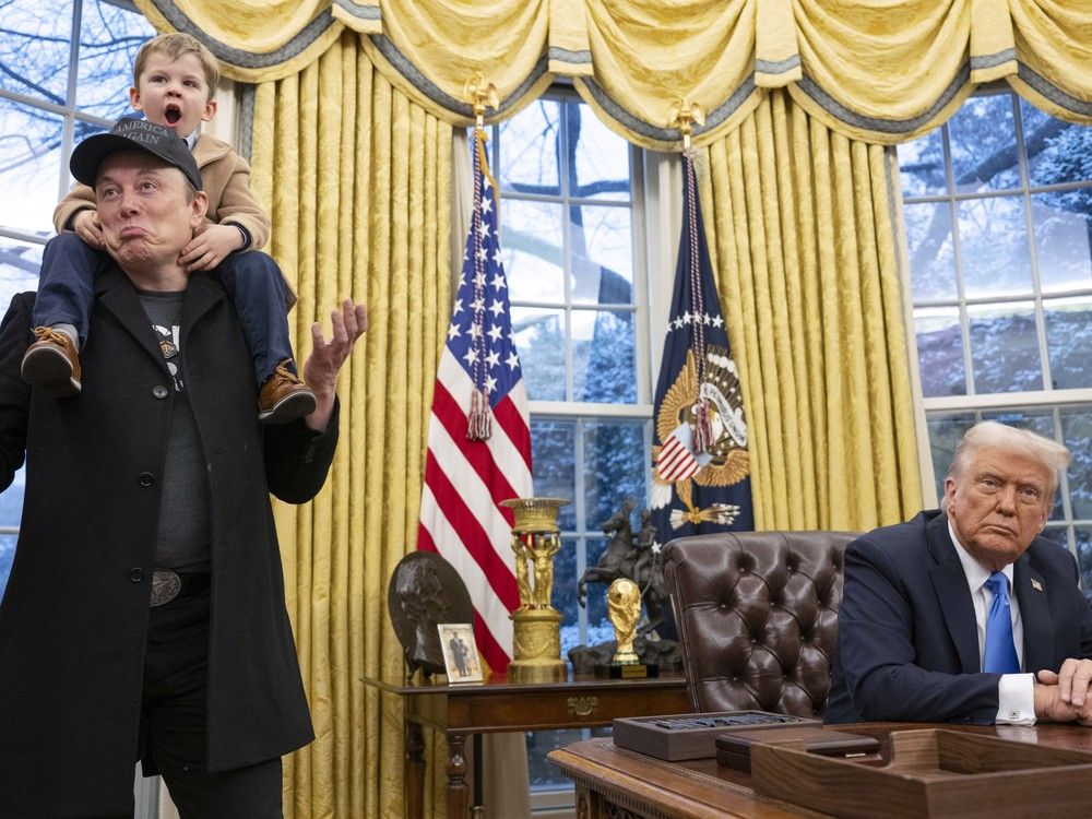 NextImg:Musk made a rare public appearance at the White House alongside Trump. Here's what he said