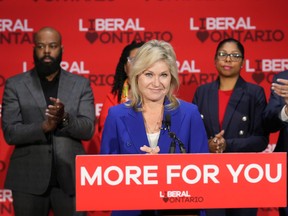 Ontario Liberal candidates face scrutiny over insensitive comments Ontario Liberal candidates face scrutiny over insensitive comments