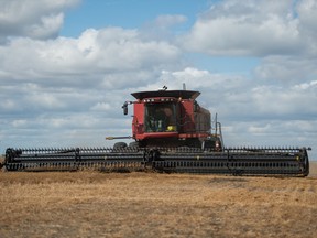 Made in Canada Saskatchewan lentils