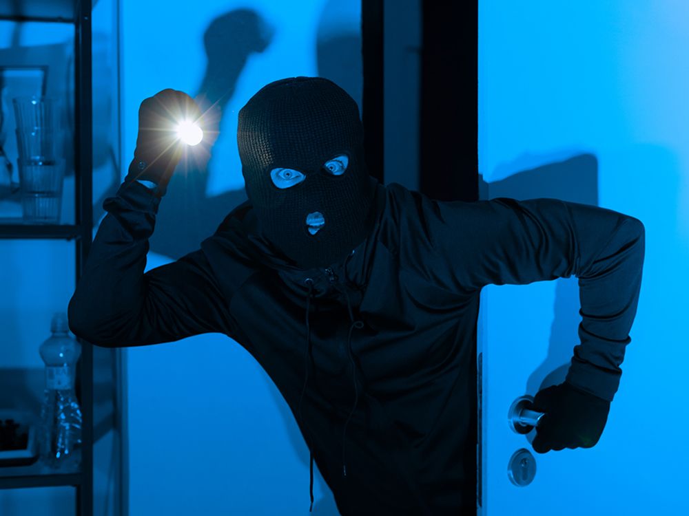 NextImg:'I love Canada': The imagined thoughts of a crime tourist who came to the country to burgle homes