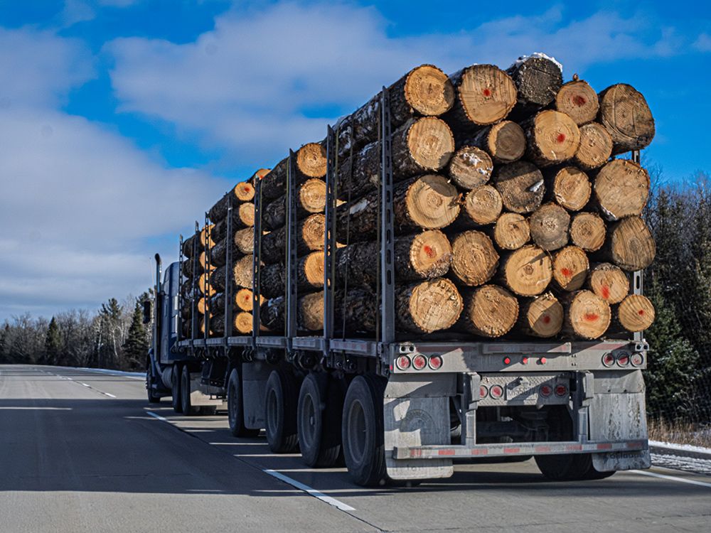 NextImg:Canadian lumber hit with 34% duties even before Trump tariffs