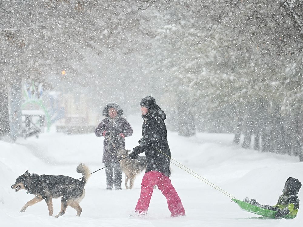 NextImg:Massive snowstorm closes schools, delays flights from Ontario to Atlantic provinces