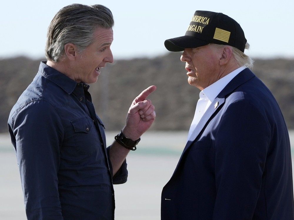 NextImg:Fake Danish petition aims to crowdfund $1 trillion to buy California from Donald Trump