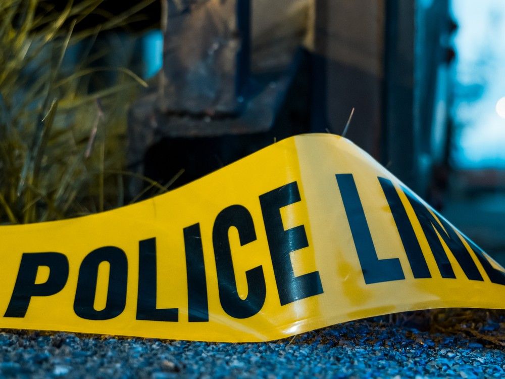 NextImg:Doctor charged with attempted murder after he allegedly tried to kill his wife while hiking