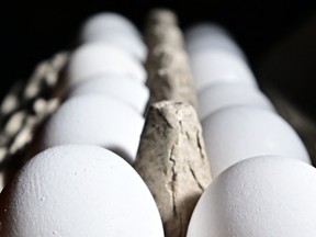 eggs