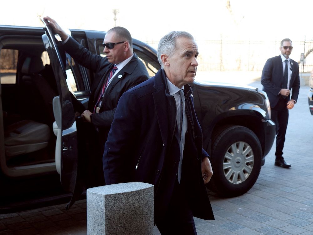 NextImg:Michael Higgins: Mark Carney has no idea how to respond to Donald Trump