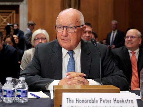 Furless raccoon, dubbed 'Rufus', given refuge in Nova Scotia shelter ...