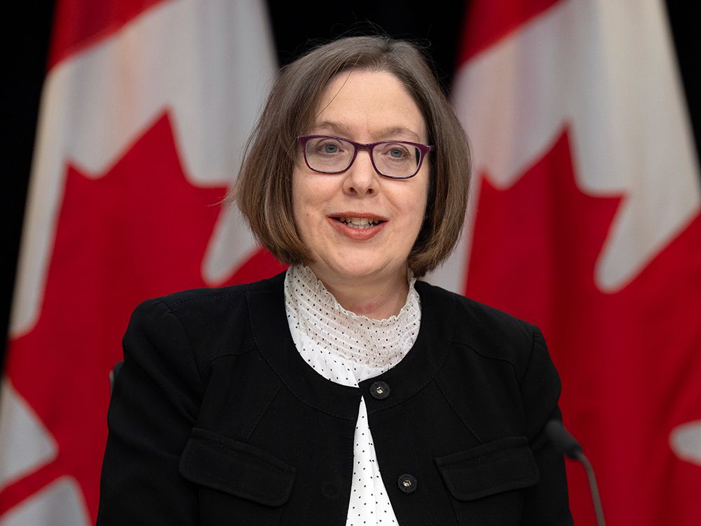 NextImg:China, Russia, India will likely try to interfere in federal election, task force says