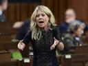 The way for the election to win the election is deliberately gradually introduced detailed policies by the way Pierre Poilievre, a Conservative MP in Canada.