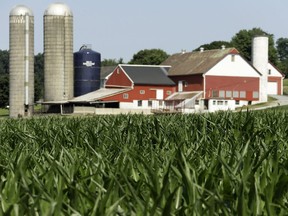 A farm
