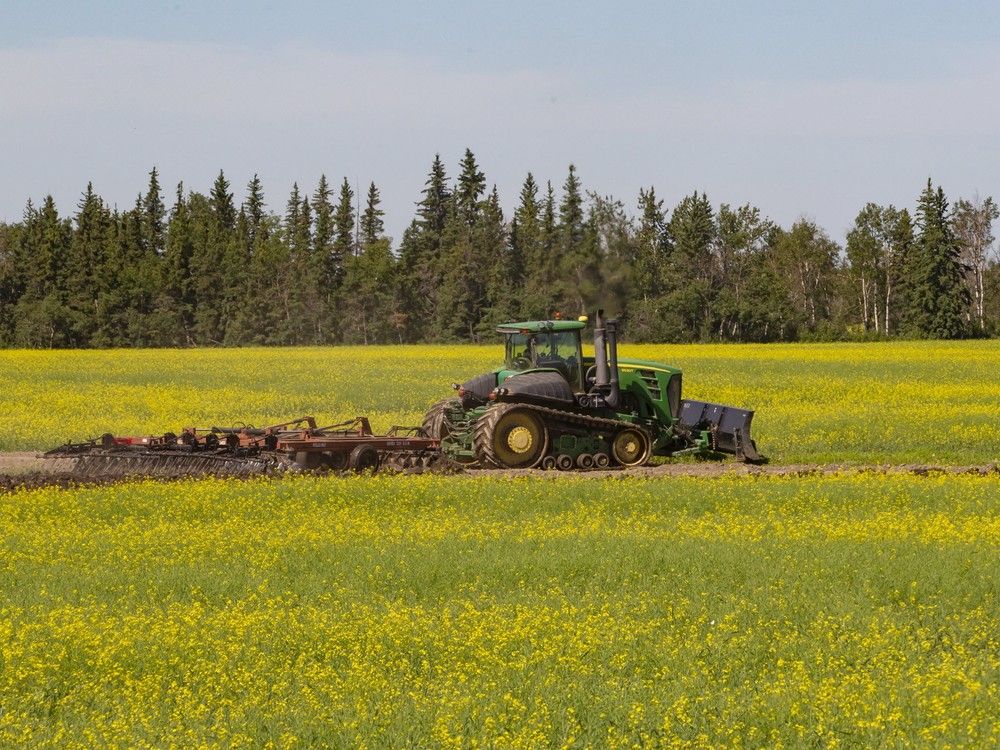 NextImg:AgriStability cap increasing to help industry offset Chinese tariffs: Ottawa