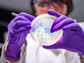 Why some Canadian researchers are ‘threatened’ by a Trump admin form Why some Canadian researchers are ‘threatened’ by a Trump admin form