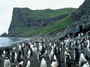 Heard Island
