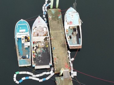 Lobster boats in St. Mary's Bay, Nova Scotia