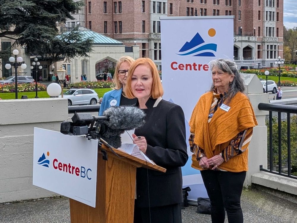NextImg:Caroline Elliott: Only the NDP will benefit from the new CentreBC party