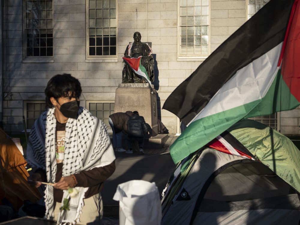 NextImg:J.D. Tuccille: Antisemitic hellhole Harvard should stop accepting public money