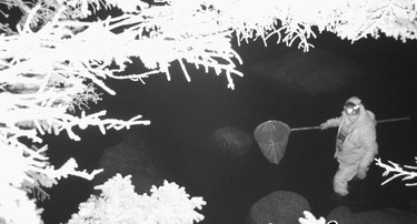 Photos of unlicensed elver fishing on South Shore rivers were sent to Fisheries and Oceans Canada (DFO) in 2023 by commercial licence holders.