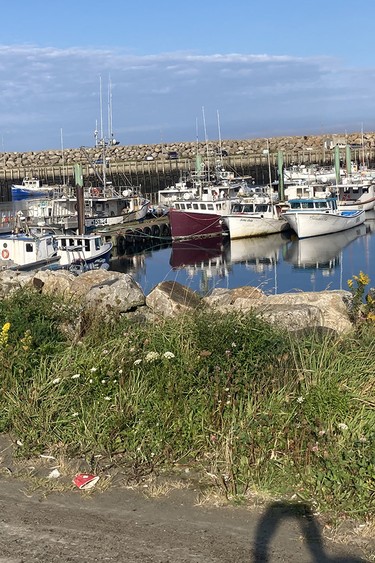 Terror and organized crime in the lawless East Coast fishery Terror and organized crime in the lawless East Coast fishery