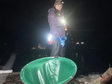Suzy Edwards fishes elvers on a Nova Scotian river at night for a company holding a DFO-issued commercial license.