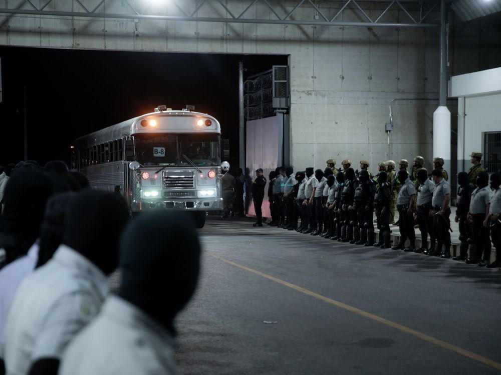 NextImg:Trump officials admit 'administrative error' in deporting suspected MS-13 man