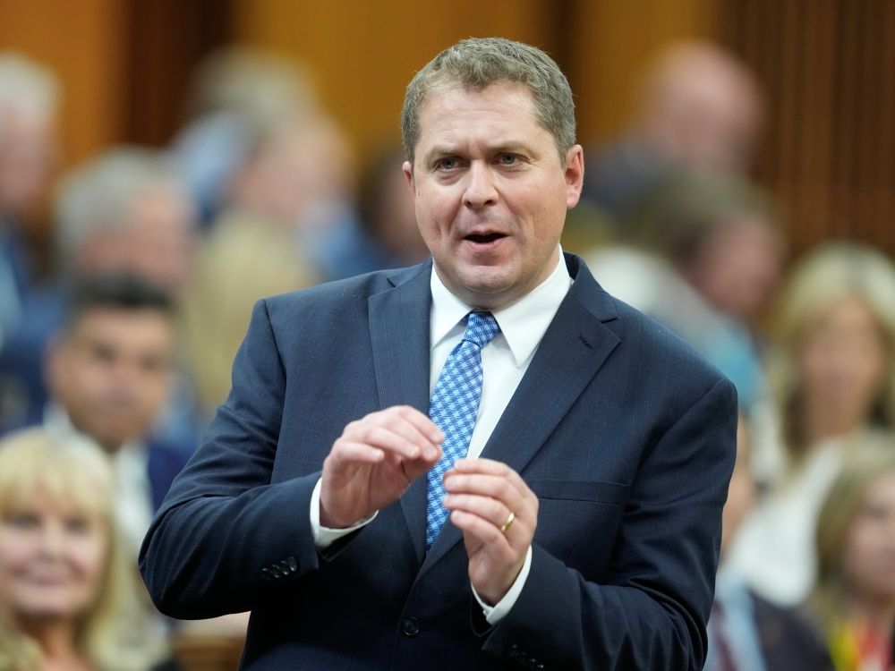 NextImg:Michael Taube: Andrew Scheer gets the political comeback he deserves