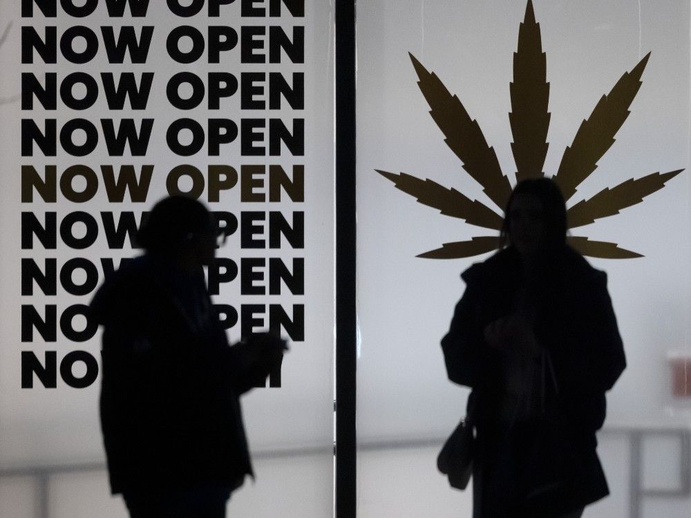 John Ivison: Punitive taxes are killing the legal cannabis industry