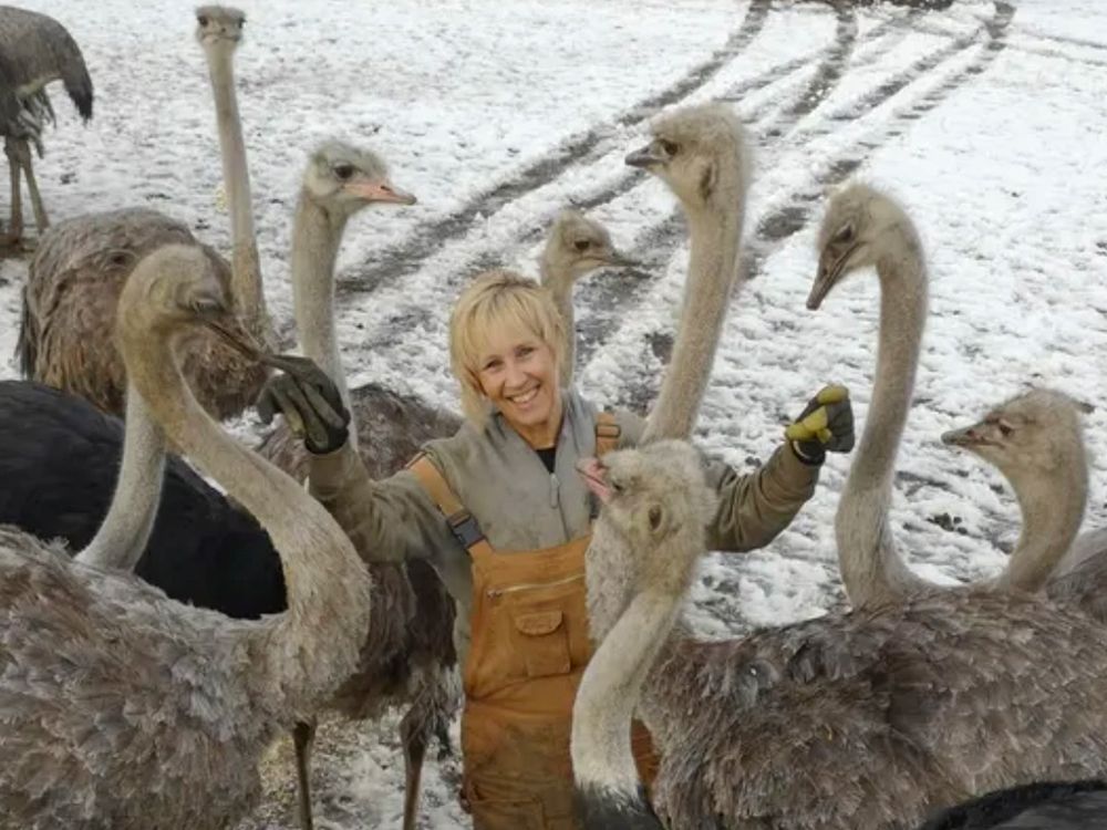 NextImg:Supporters converge on B.C. ostrich farm as federal food agency confirms cull of flock
