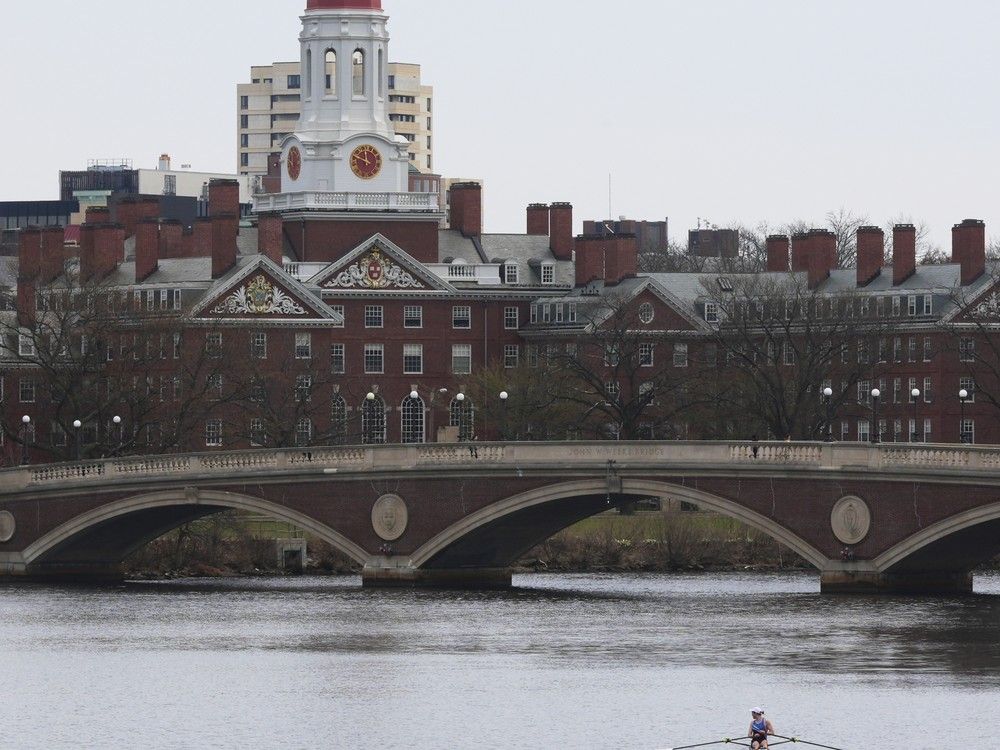 NextImg:Hundreds of Canadian students potentially caught up in fight between Trump and Harvard University
