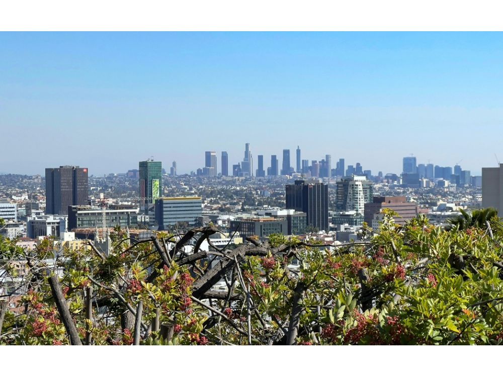 NextImg:Iran diaspora in Los Angeles dream of 'regime change'