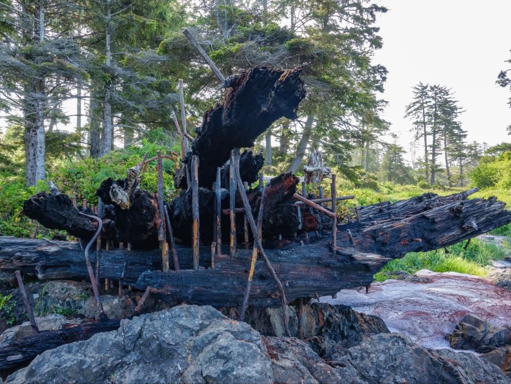 NextImg:128-year-old shipwreck on Vancouver Island charred by fire