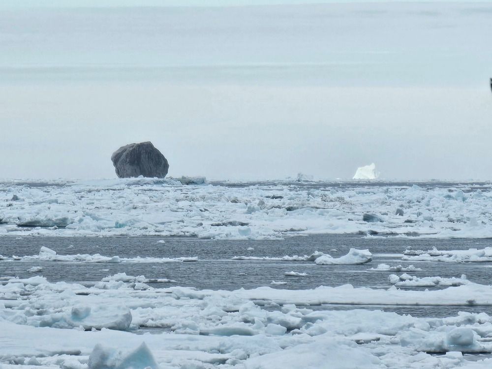 NextImg:Black iceberg spotted off Labrador could be result of an asteroid strike