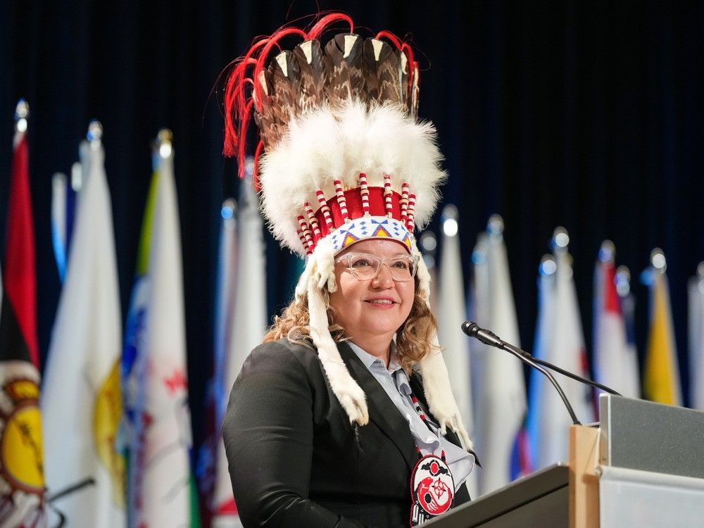 NextImg:Proposed fast-tracking of national projects 'serious threat' to treaty rights: AFN Chief