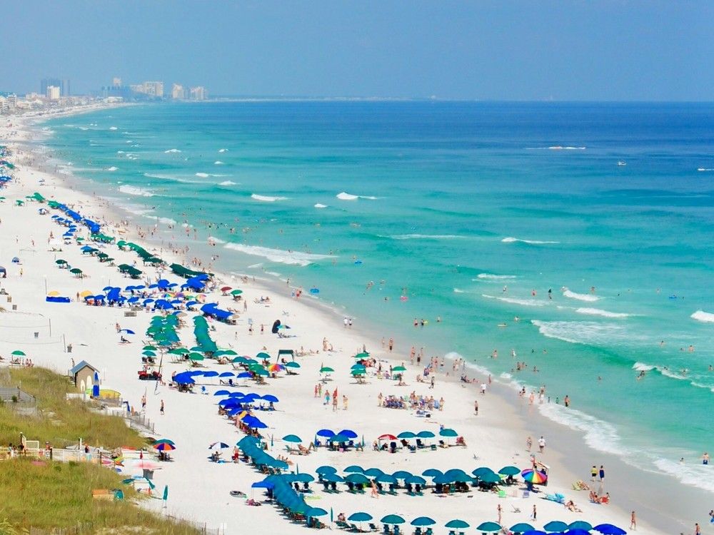 NextImg:Rare, flesh-eating bacteria kills 4 in Florida. What is Vibrio vulnificus?