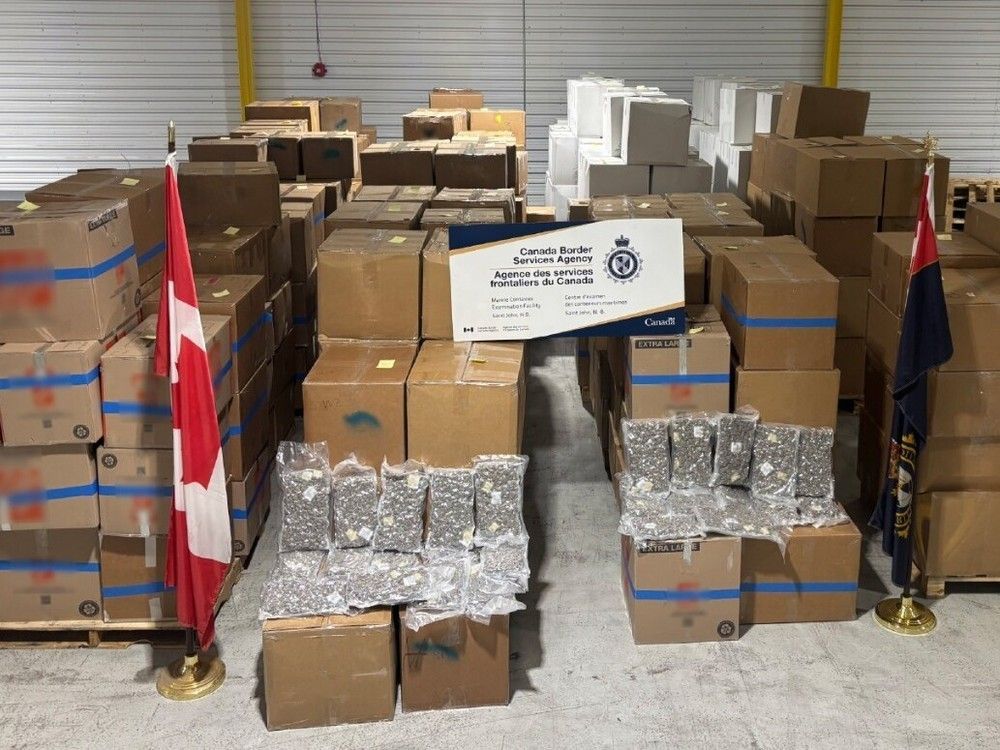 Nearly 400 boxes containing over 6,700 kg of suspected cannabis seized by border services officers at the Saint John Container Examination Facility in May 2025. Nearly 400 boxes containing over 6,700 kg of suspected cannabis seized by border services officers at the Saint John Container Examination Facility in May 2025.
